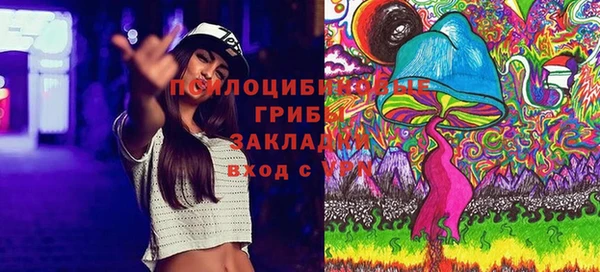 МДПВ Алексин
