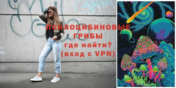 МДПВ Алексин