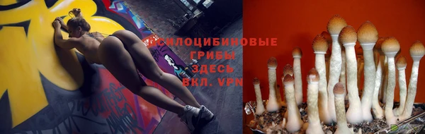 ешки Алексеевка