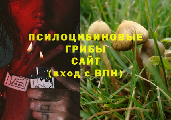 ешки Алексеевка