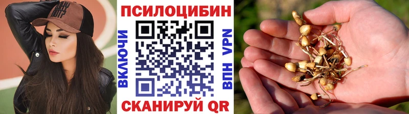 наркотики  Ипатово  Галлюциногенные грибы прущие грибы 