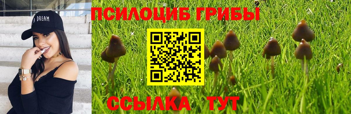 Галлюциногенные грибы мицелий Ипатово