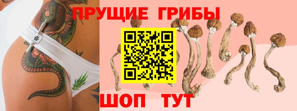 Ипатово  Галлюциногенные грибы мицелий  Вход с VPN 